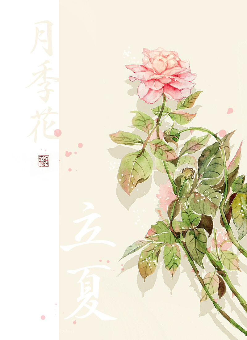 二十四节气花卉(未完待续)（图ZMTE3MzMzOTI0） - 商业插画 - 站酷设计师不语氏原创素材 - 站酷ZCOOL
