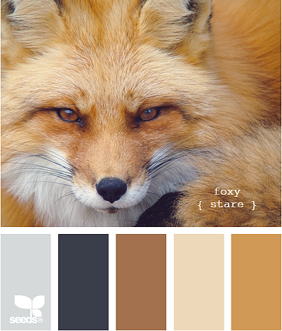 美丽的配色卡啊——04