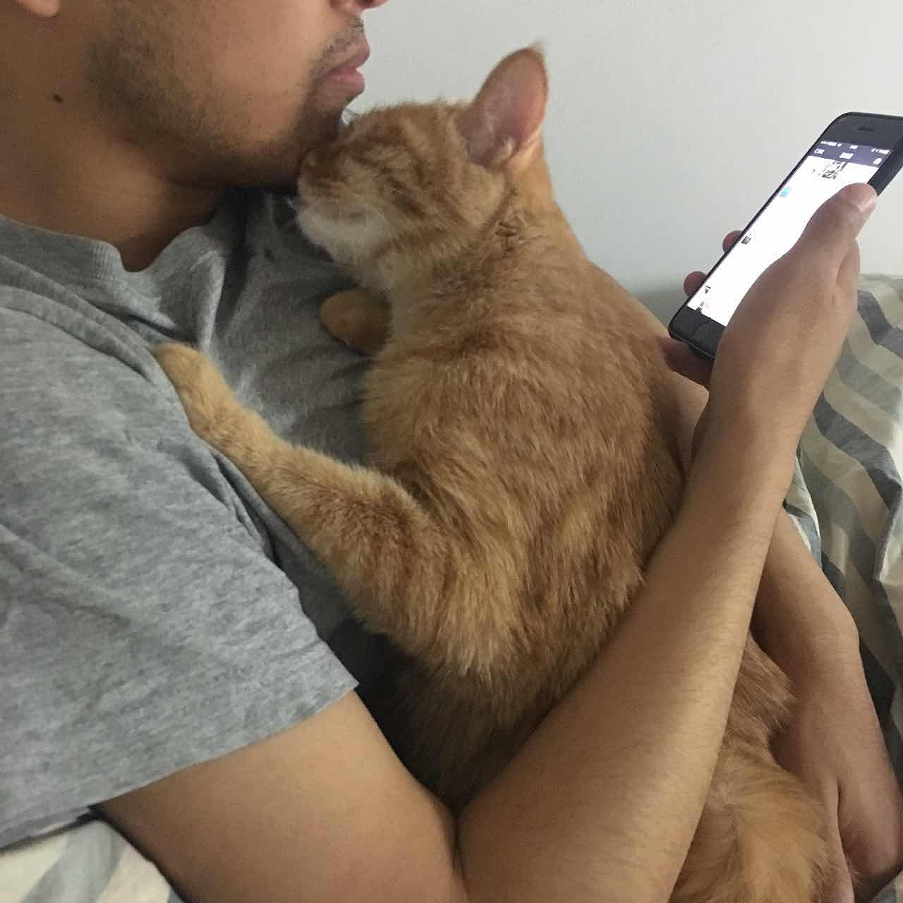 菜刀眼黄豆芽的日常（图ZODEwMzc0MTY=） - 宠物摄影 - 站酷设计师violasean原创素材 - 站酷ZCOOL