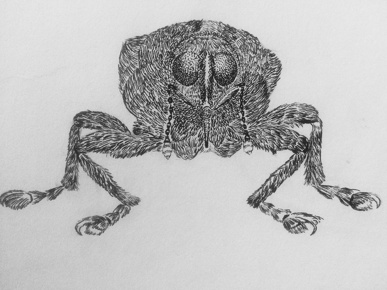 我想交四种人  正能量的 欣赏我的  批评我的  能给我领路的朋友！