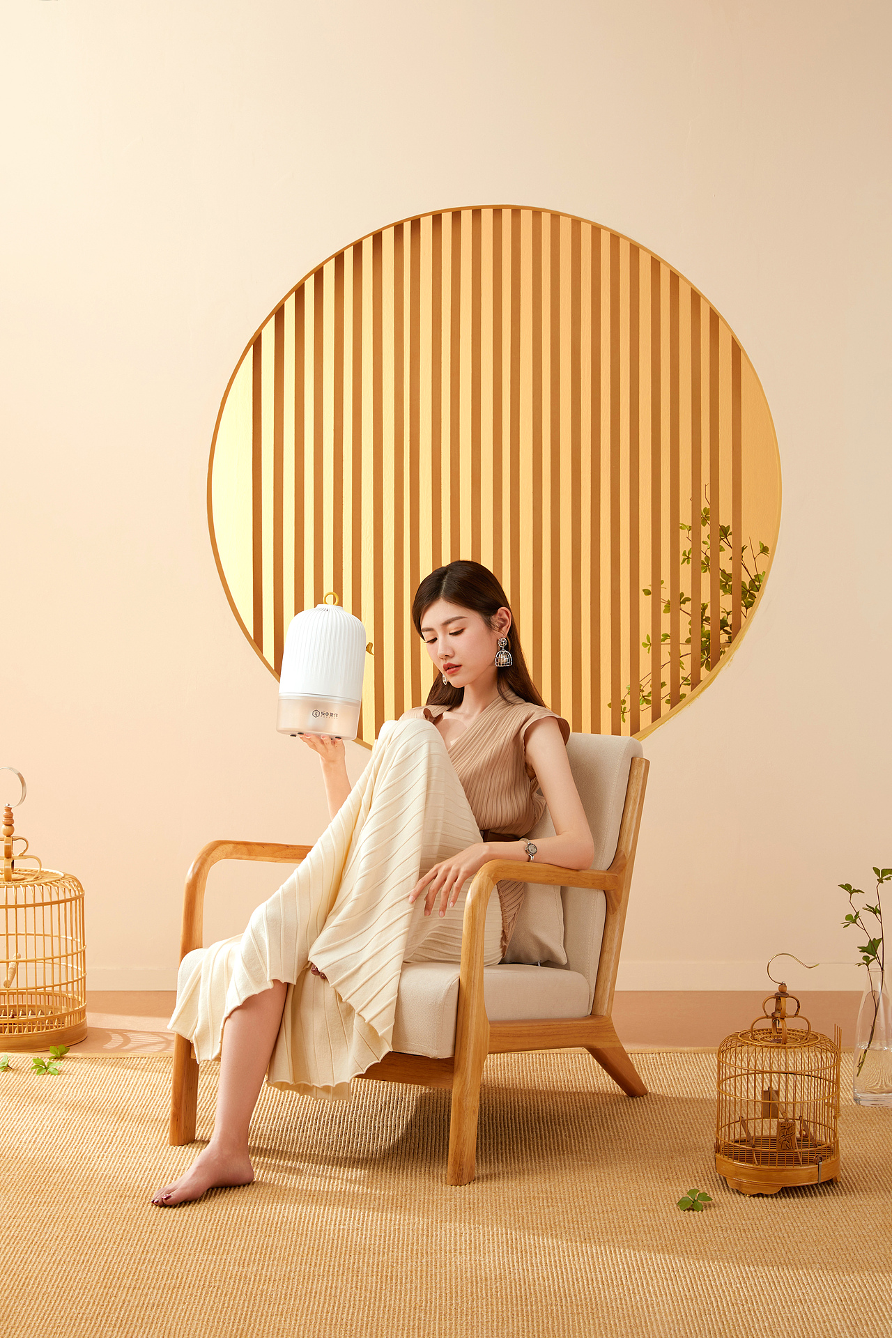 电商场景拍摄-除湿机 加湿器