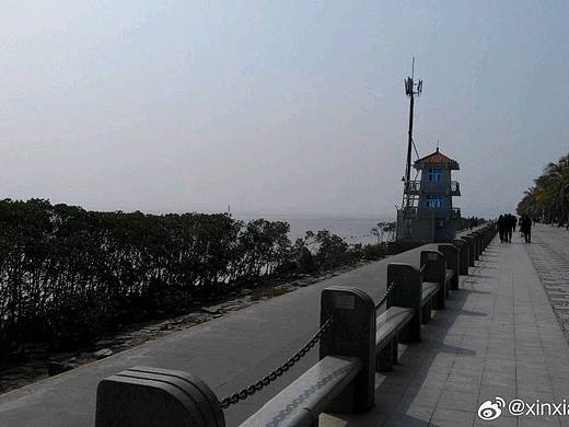 春（个人主页-ZMzkwMzAyNjQ=） - 风光摄影 - 站酷设计师峰之冠原创素材 - 站酷ZCOOL