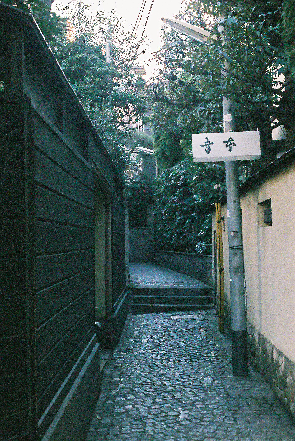 午后漫步(东京)