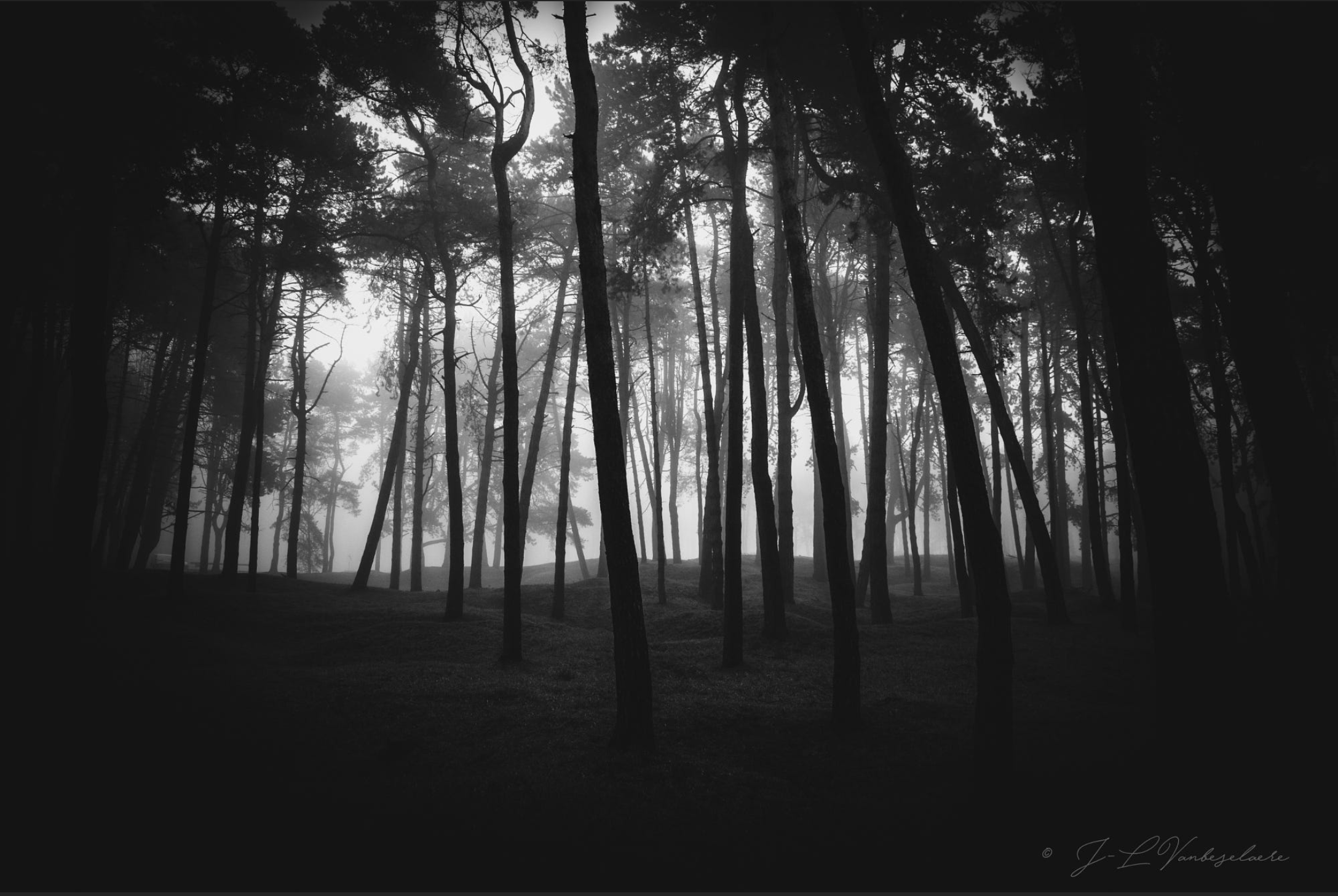 澳博的射击的个人主页（封面预览） - 主页封面设置 - 站酷设计师澳博的射击原创素材 - 站酷ZCOOL