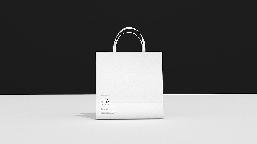 《丽宣》服装品牌设计