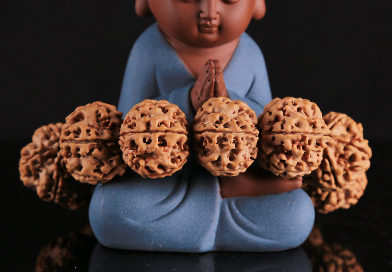 大金刚小金刚佛系拍摄