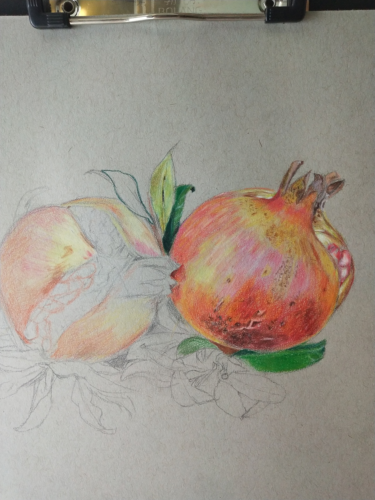 我家石榴乐开花