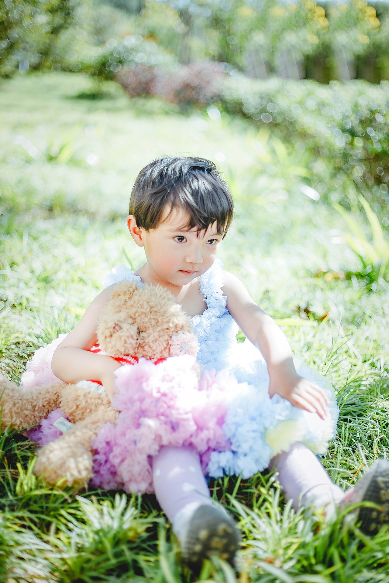 丽江 木楷 2016.10.03