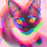 AsumiBy的头像