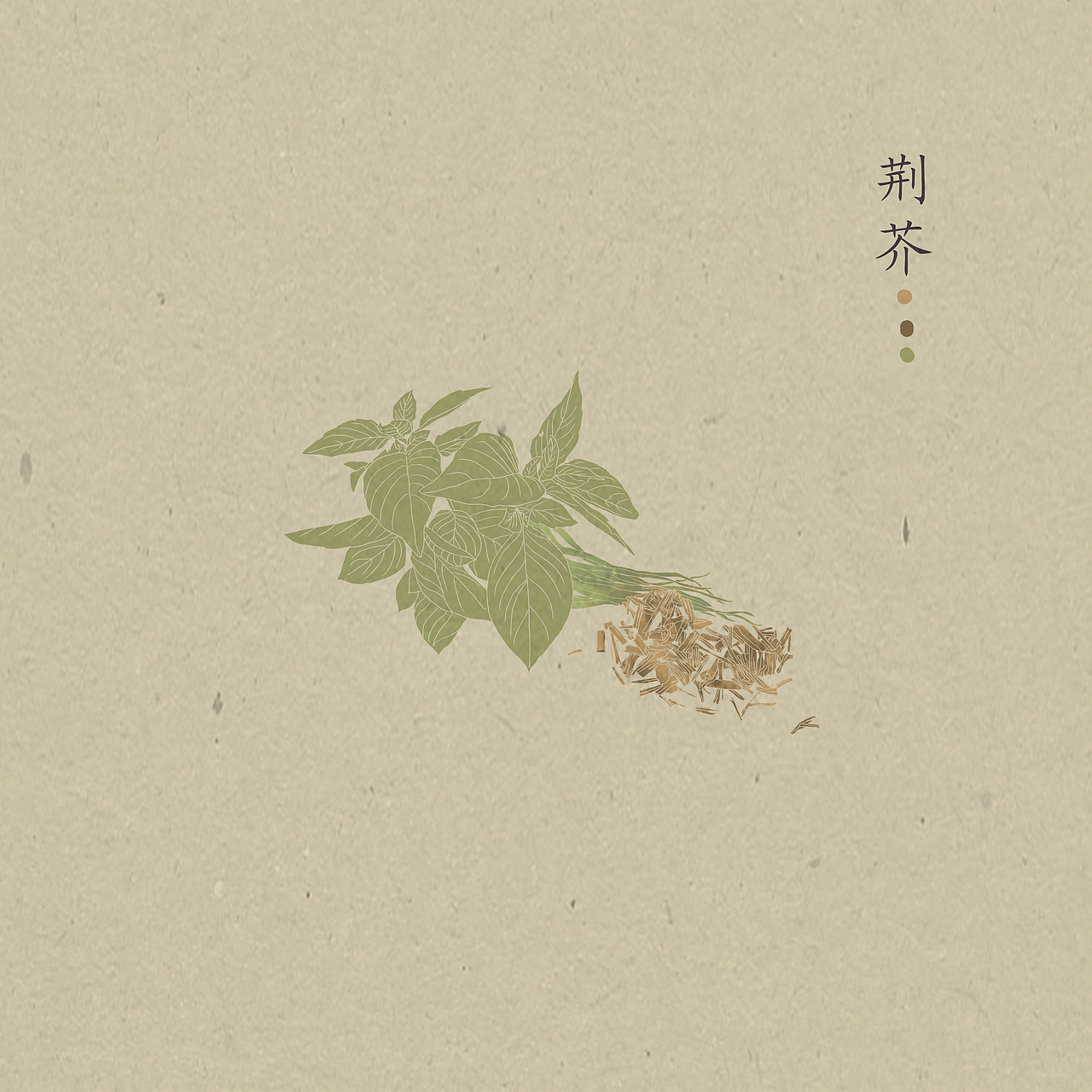 甘的,涩的,它们的气味与纹路