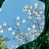 Fan__番茄的头像
