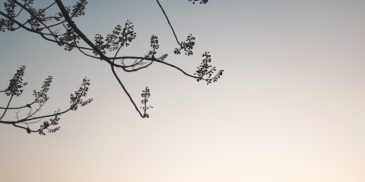 随拍（图ZMTg4MDIwMTM2） - 风光摄影 - 站酷设计师赵小八BA原创素材 - 站酷ZCOOL