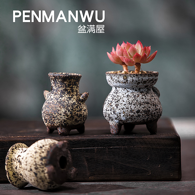 產(chǎn)品攝影，盆滿屋小花盆（圖ZMjQ2MDI2Nzc2） - 產(chǎn)品攝影 - 站酷設(shè)計師小紅羊商業(yè)攝影原創(chuàng)素材 - 站酷ZCOOL