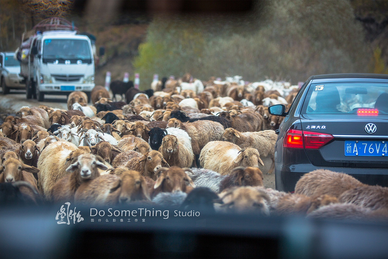 北疆行迹（图ZOTQwODYzMzI=） - 风光摄影 - 站酷设计师kiwihello原创素材 - 站酷ZCOOL