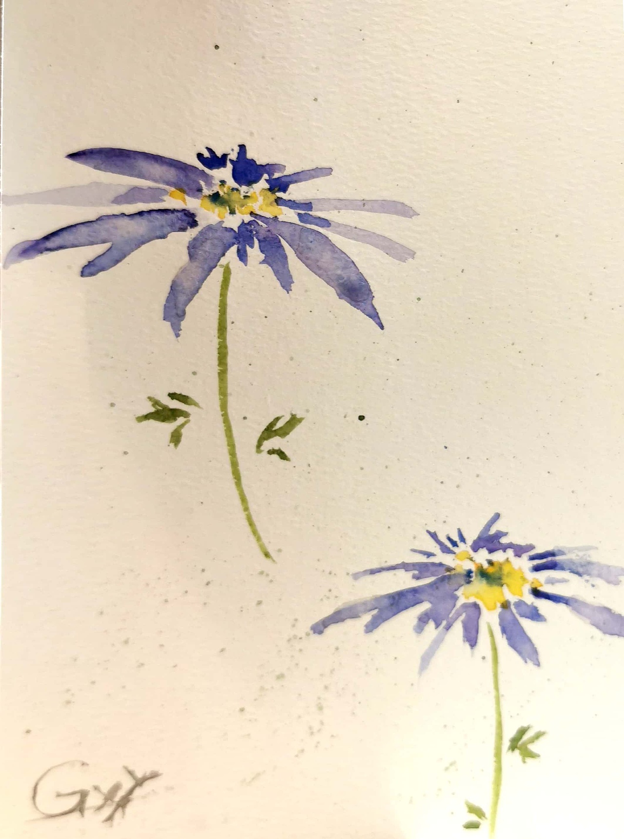 水彩 花草（图ZMjU0OTc0MTA0） - 绘本 - 站酷设计师BRO11原创素材 - 站酷ZCOOL