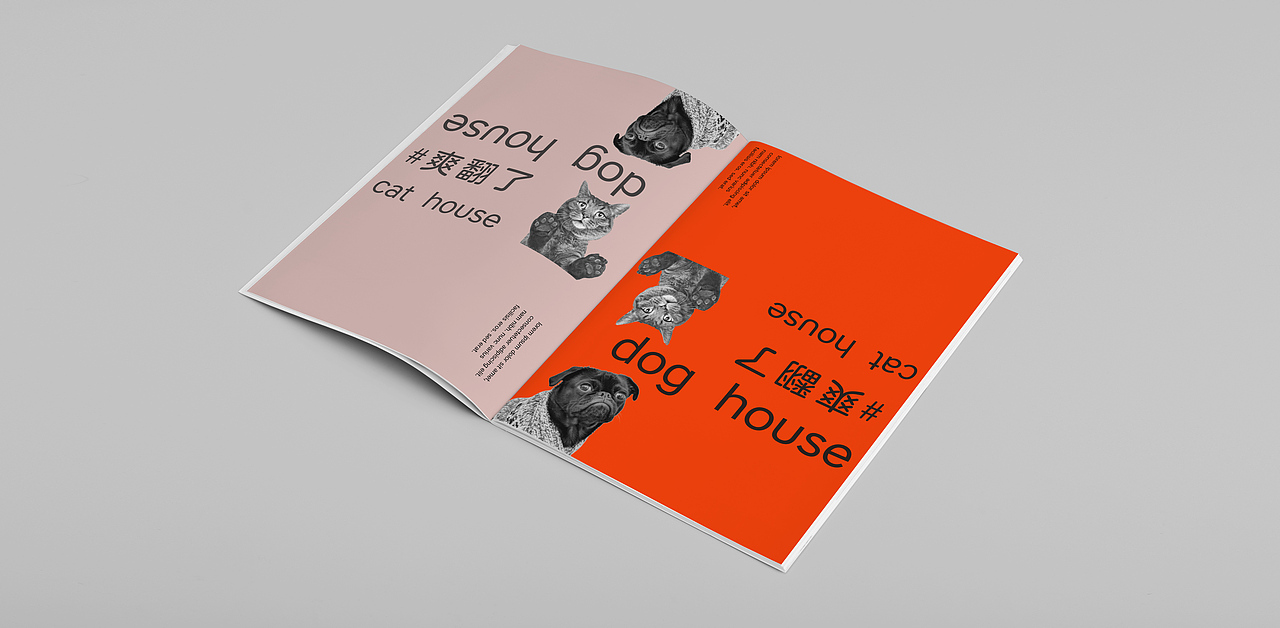 宠物家品牌设计