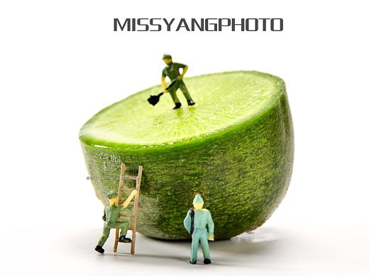 一组沙窝萝卜的拍摄