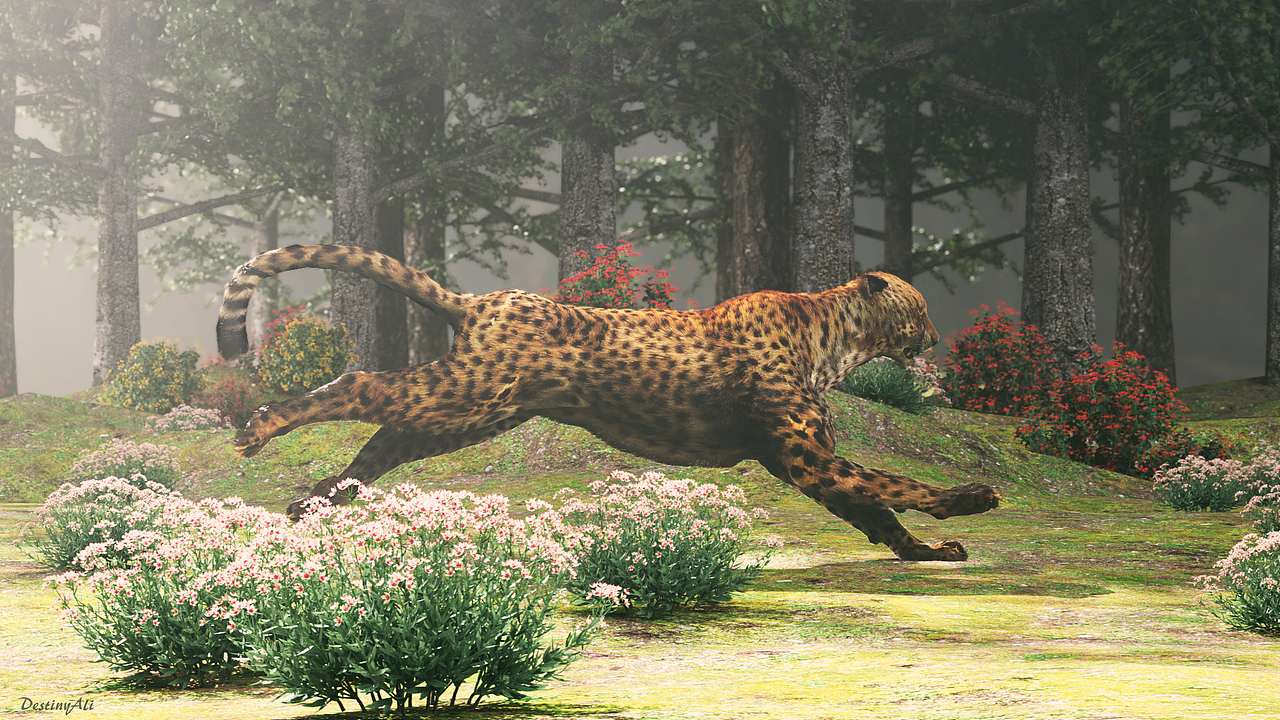 2021年终总结（图ZMjgzNDQ0NDIw） - 场景 - 站酷设计师DestinyAli原创素材 - 站酷ZCOOL