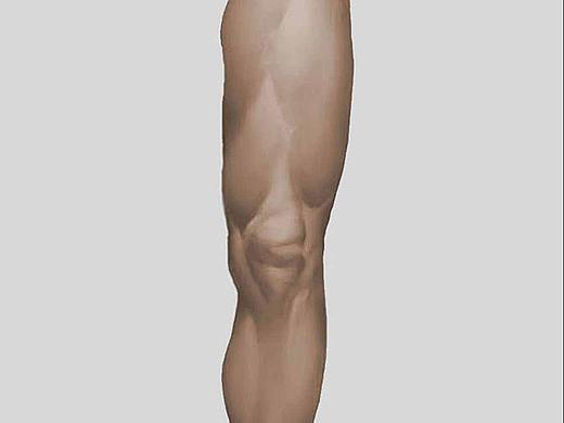 插画丨原画丨绘画丨黄金右脚图文教程