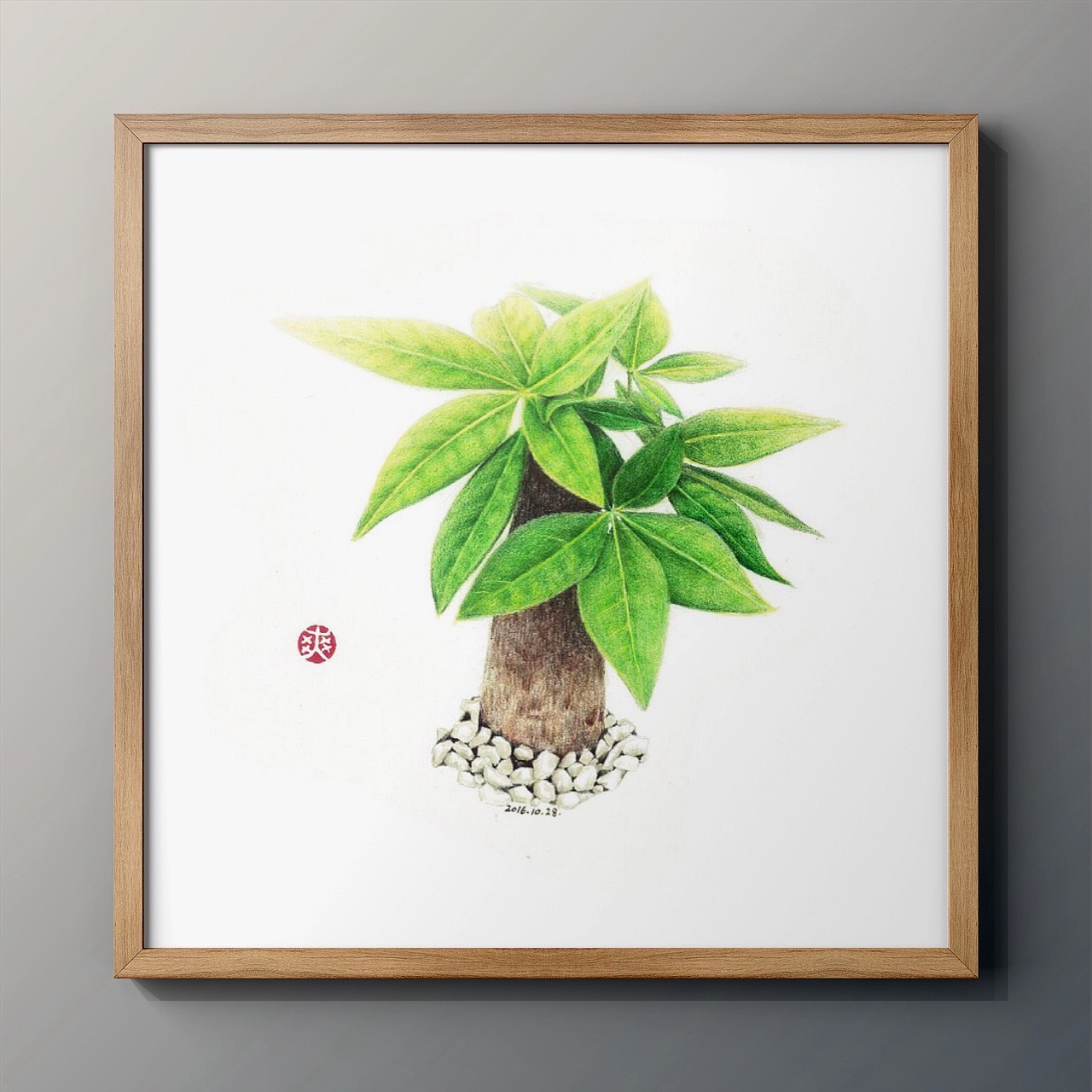 彩铅手绘—发财树