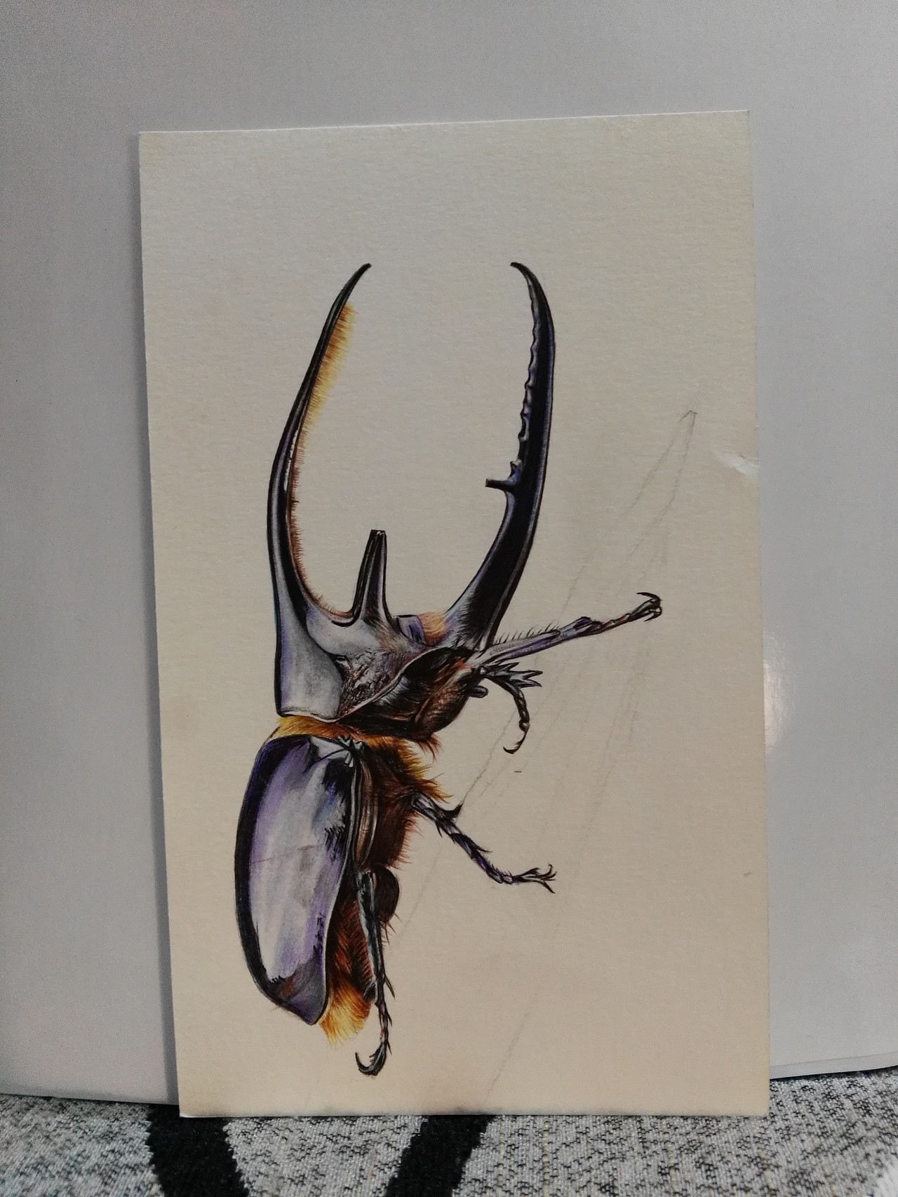 大画伤身，小画怡情《屎壳郎的春天》（图ZNzk4Mjg0MjQ=） - 绘画 - 站酷设计师浩轩手绘原创素材 - 站酷ZCOOL
