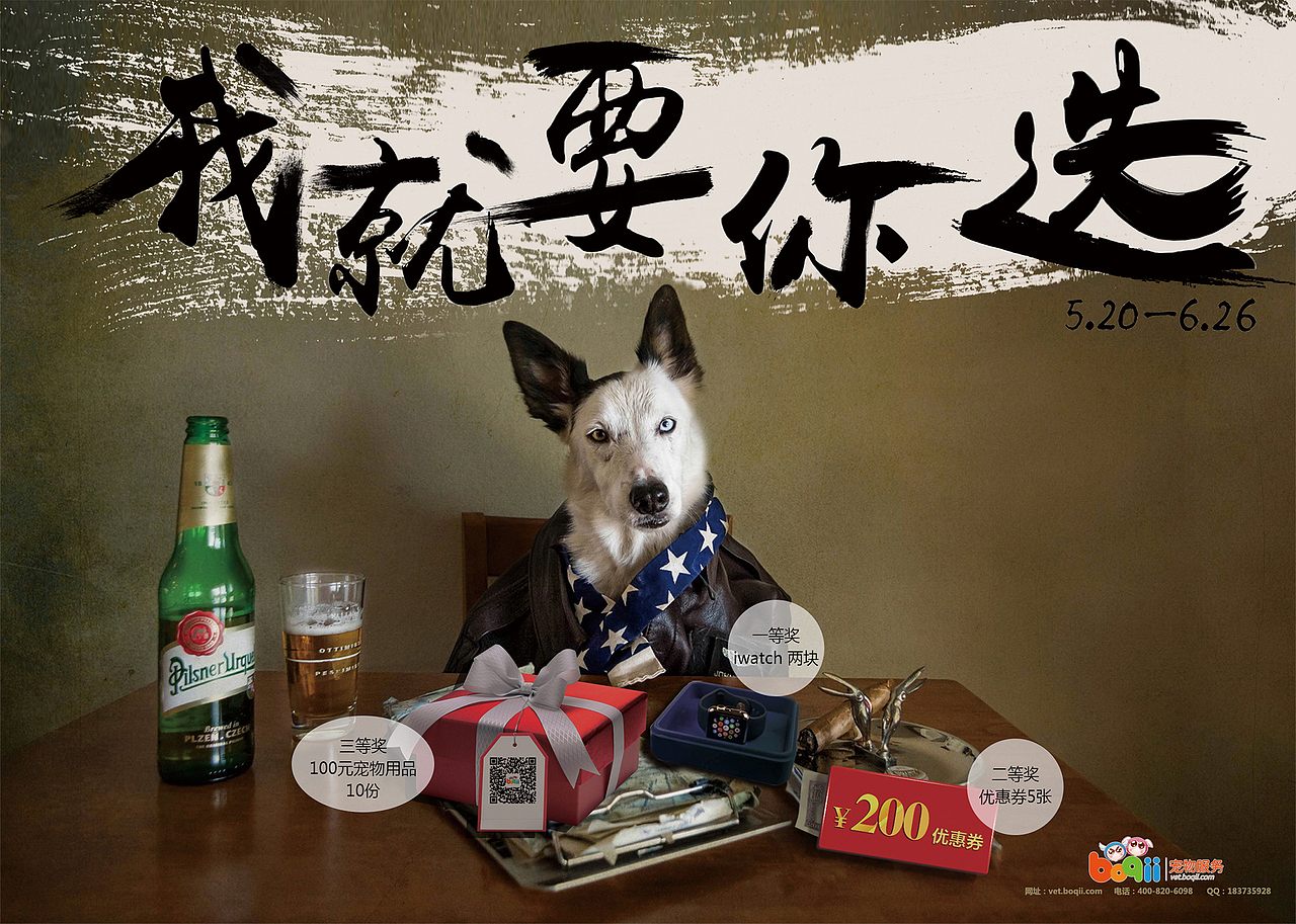 宠物活动DM单（图ZMzIzODk5NjA=） - 宣传物料 - 站酷设计师mayidefei原创素材 - 站酷ZCOOL