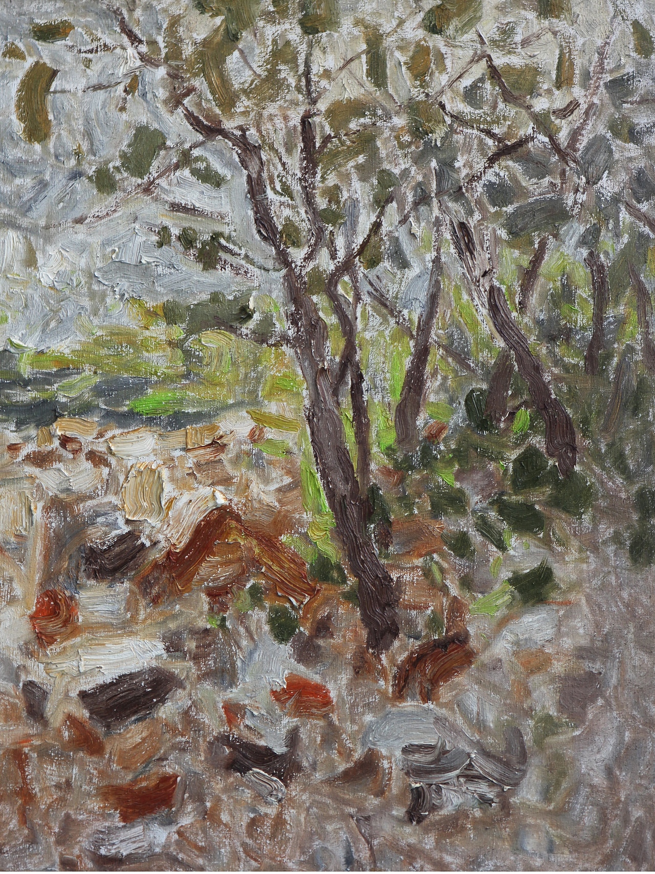 一位野生画家的作品