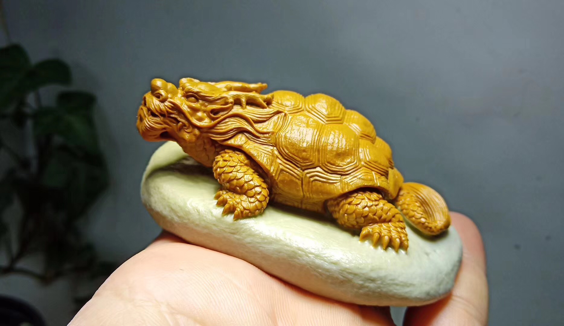 龙龟雕刻图案图片