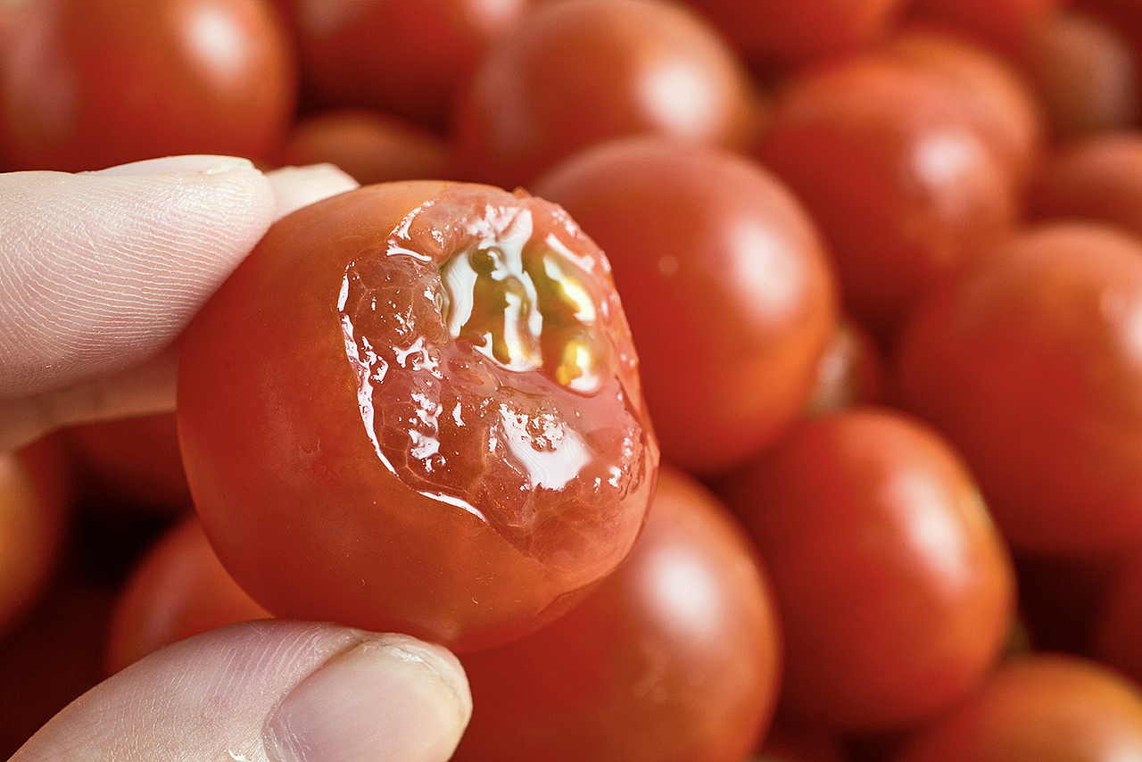 果蔬食材（图ZMjUyMzkxMTI0） - 产品摄影 - 站酷设计师摄影师carol原创素材 - 站酷ZCOOL