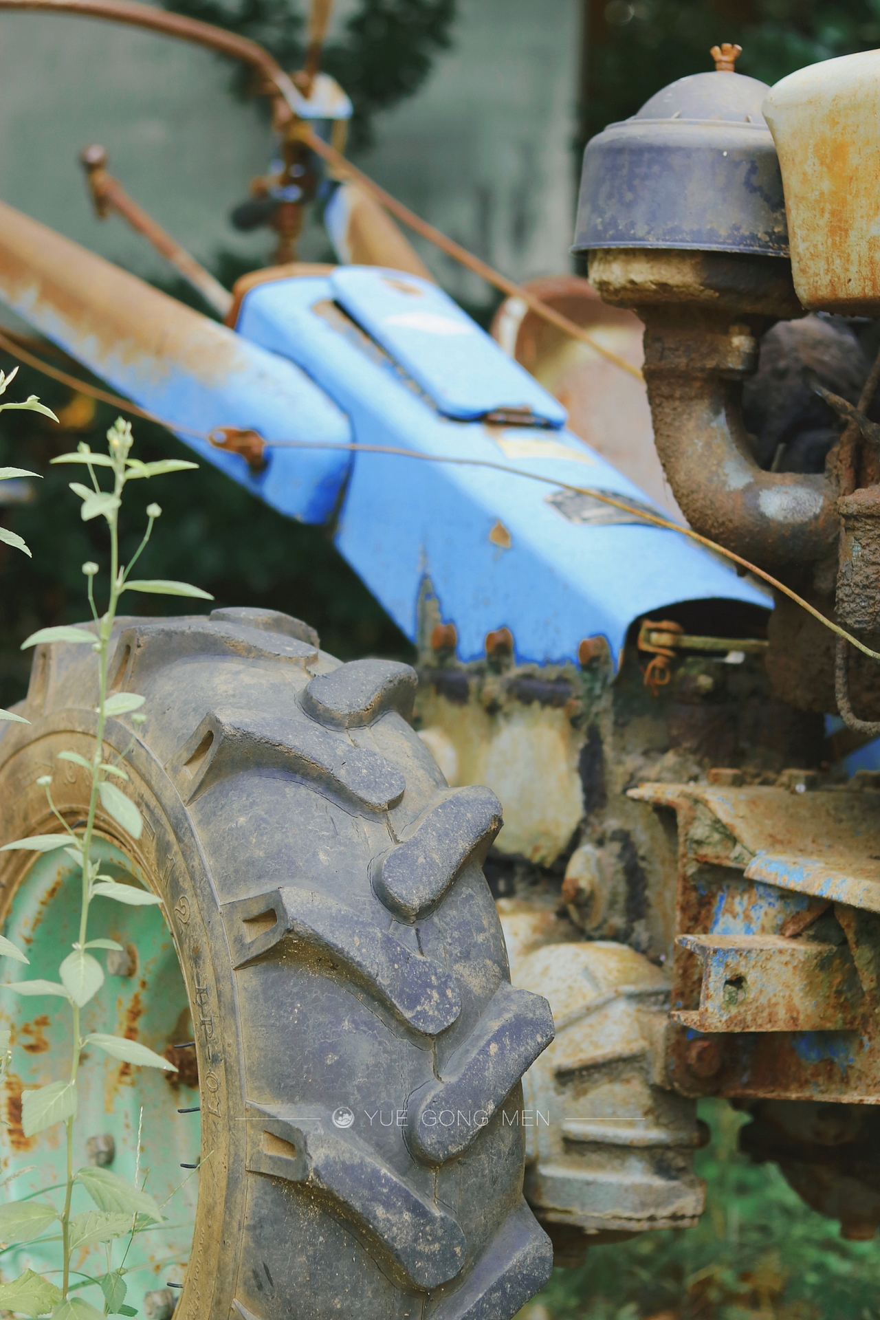 【游记】五夫古镇——墟日