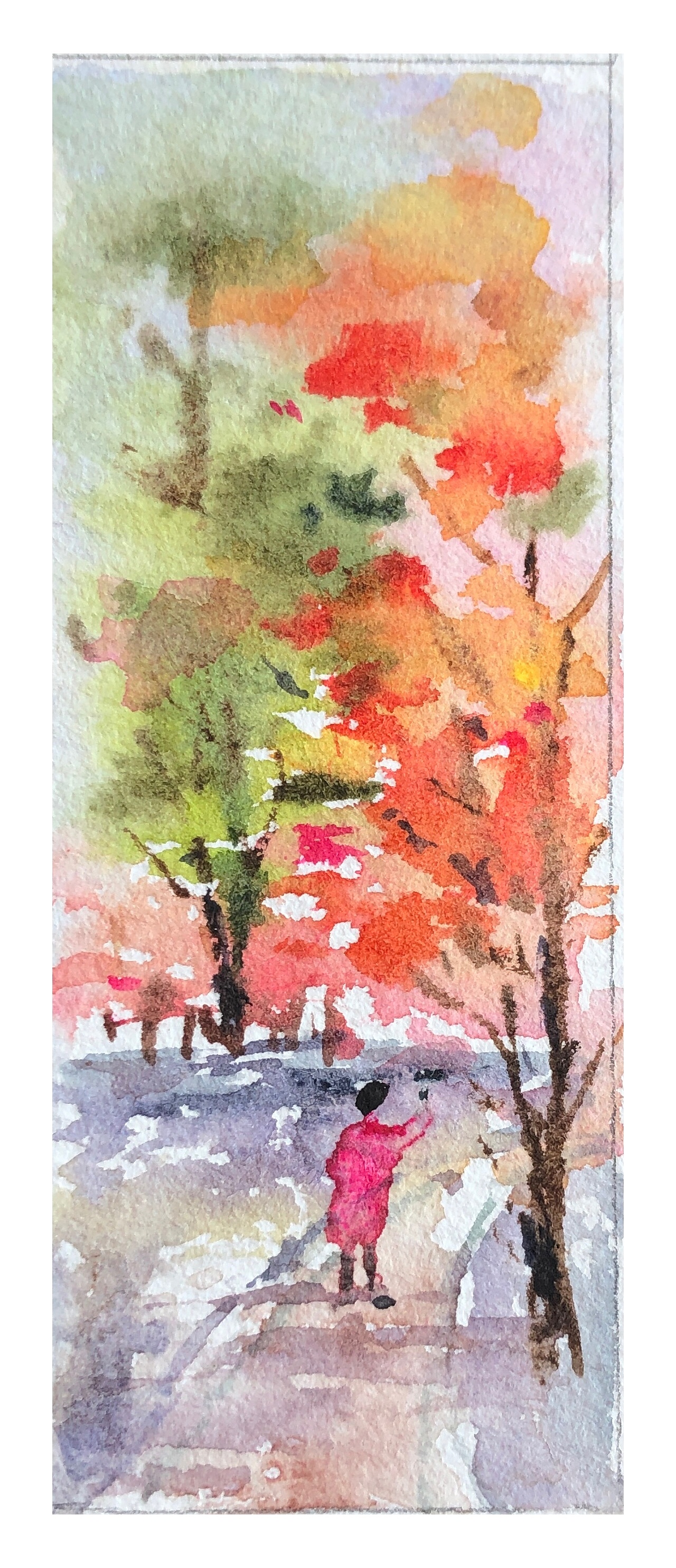 枫叶红透醉流年