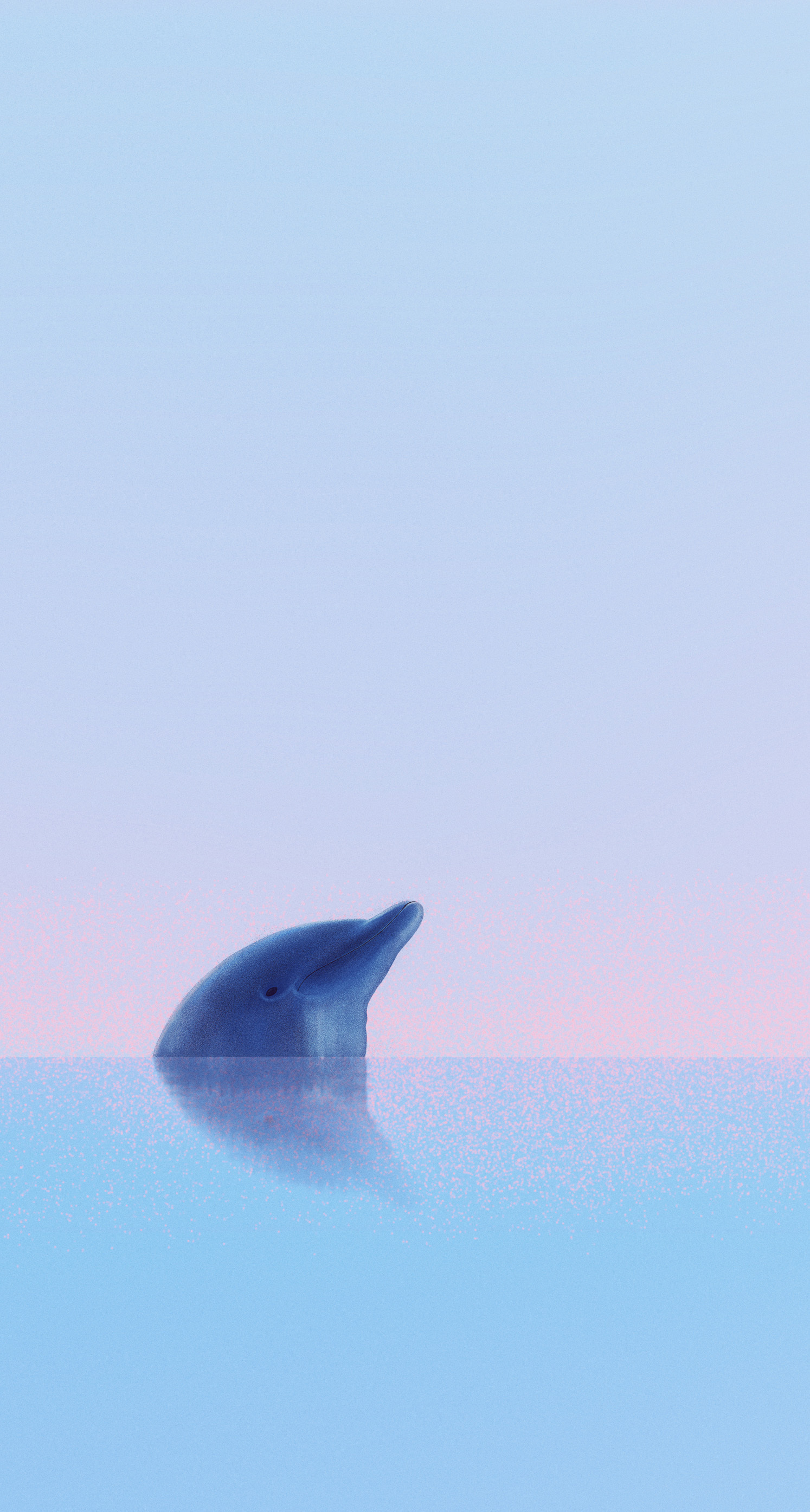 海豚图片手机壁纸可爱图片