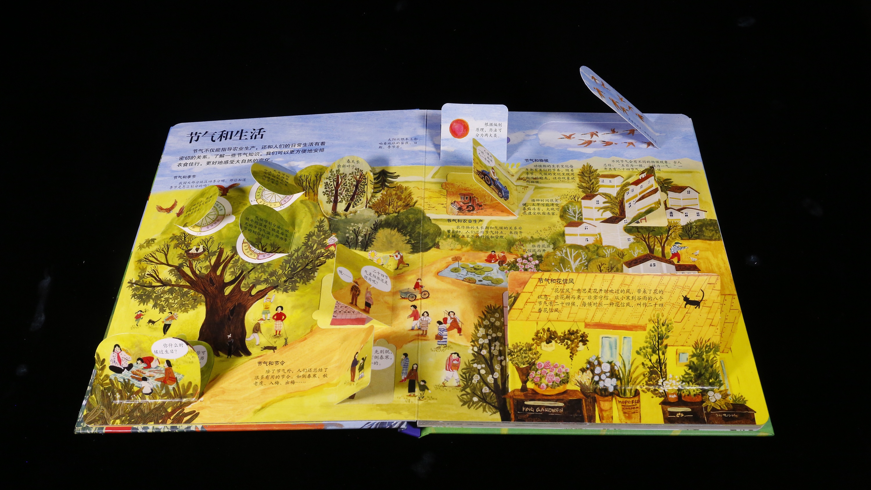 《揭秘二十四节气》翻翻书 (鸿雁 文 须臾 图)