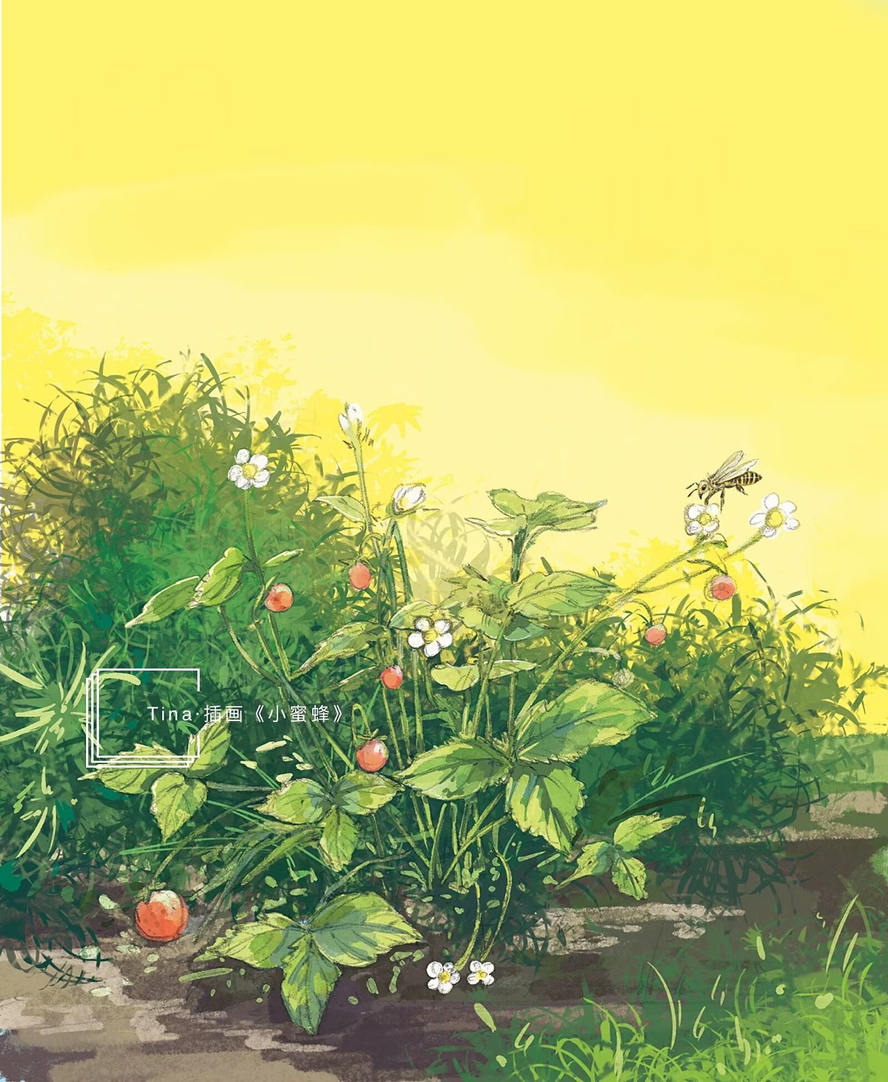 微观世界的小生物们……