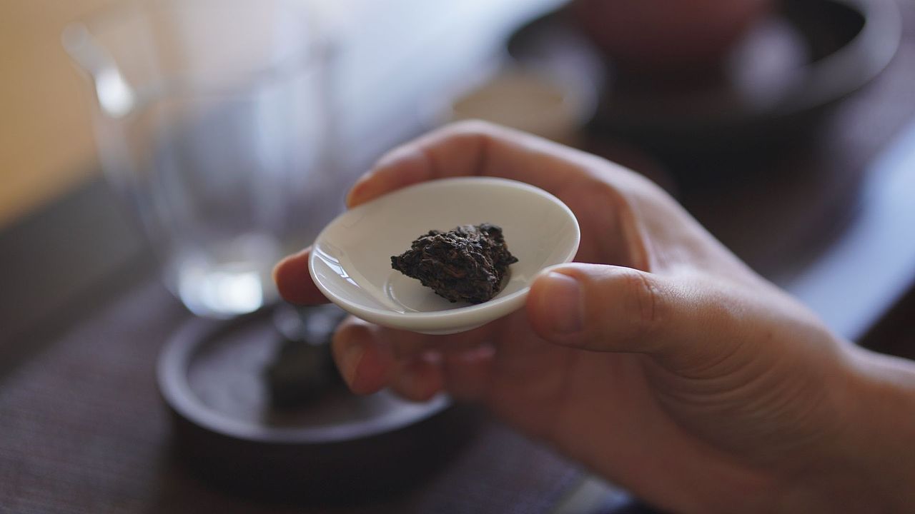 昆明教场路游记,汲浄斋草书创作