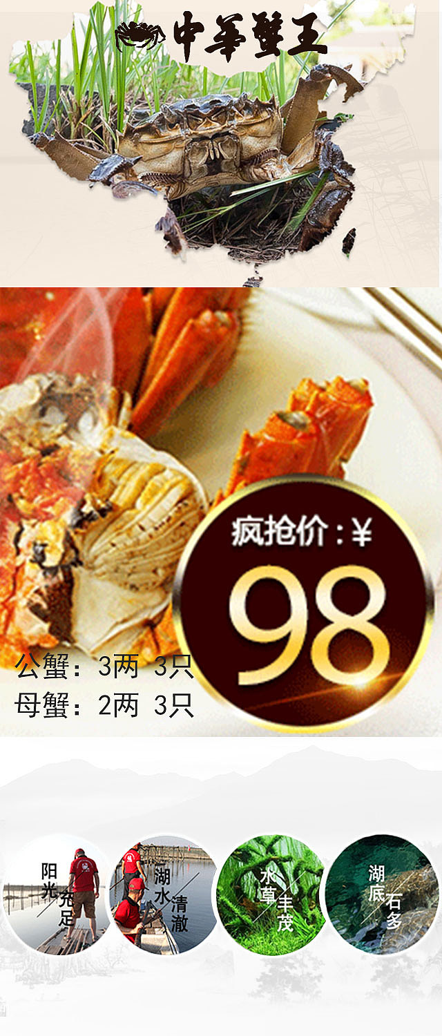 阳澄湖大闸蟹（图ZNjE3OTQzMDg=） - 宣传物料 - 站酷设计师学习的熙儿原创素材 - 站酷ZCOOL