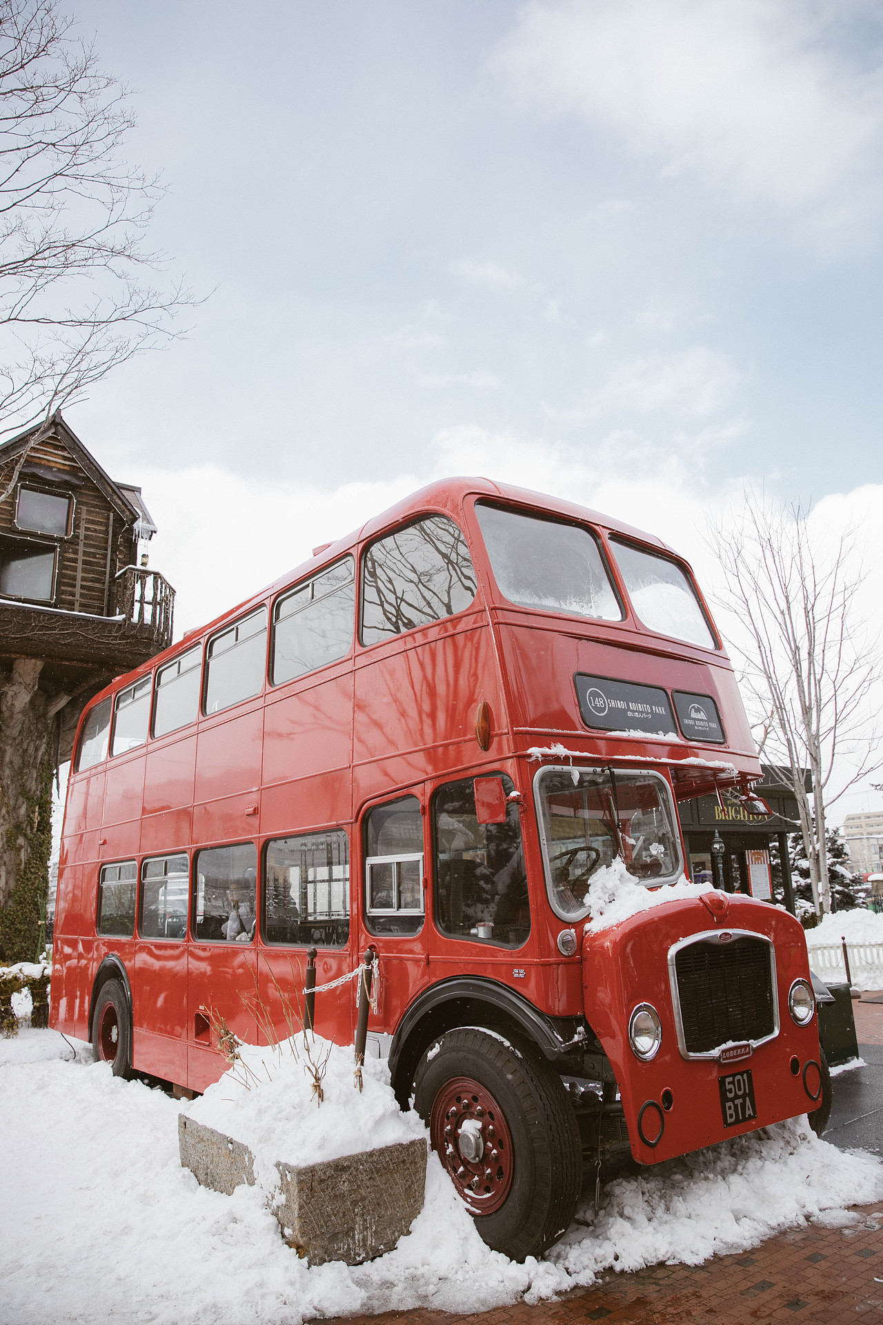 我在北海道滑雪（图ZMTA5Mzk4MTAw） - 短片 - 站酷设计师魏编来了原创素材 - 站酷ZCOOL