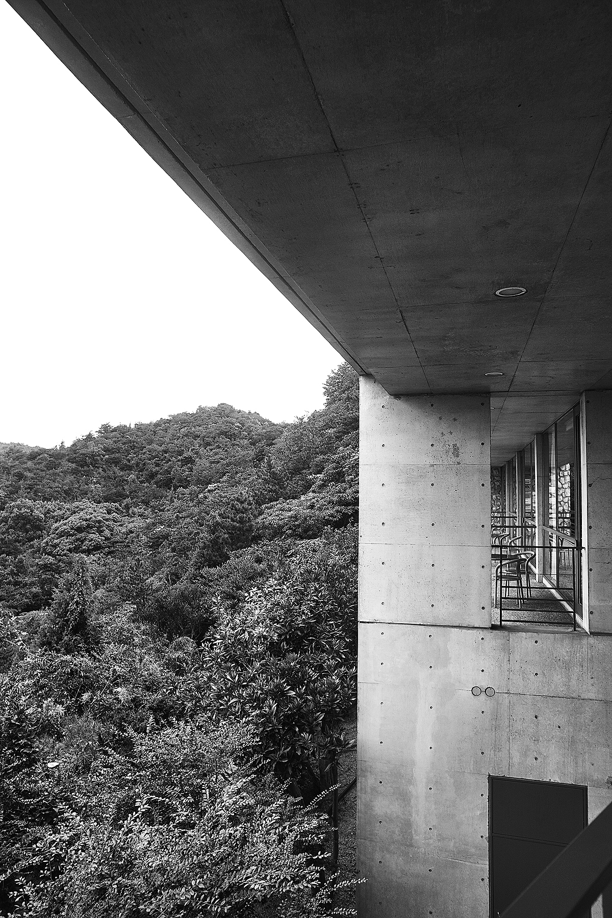 赏未之旅-直岛行