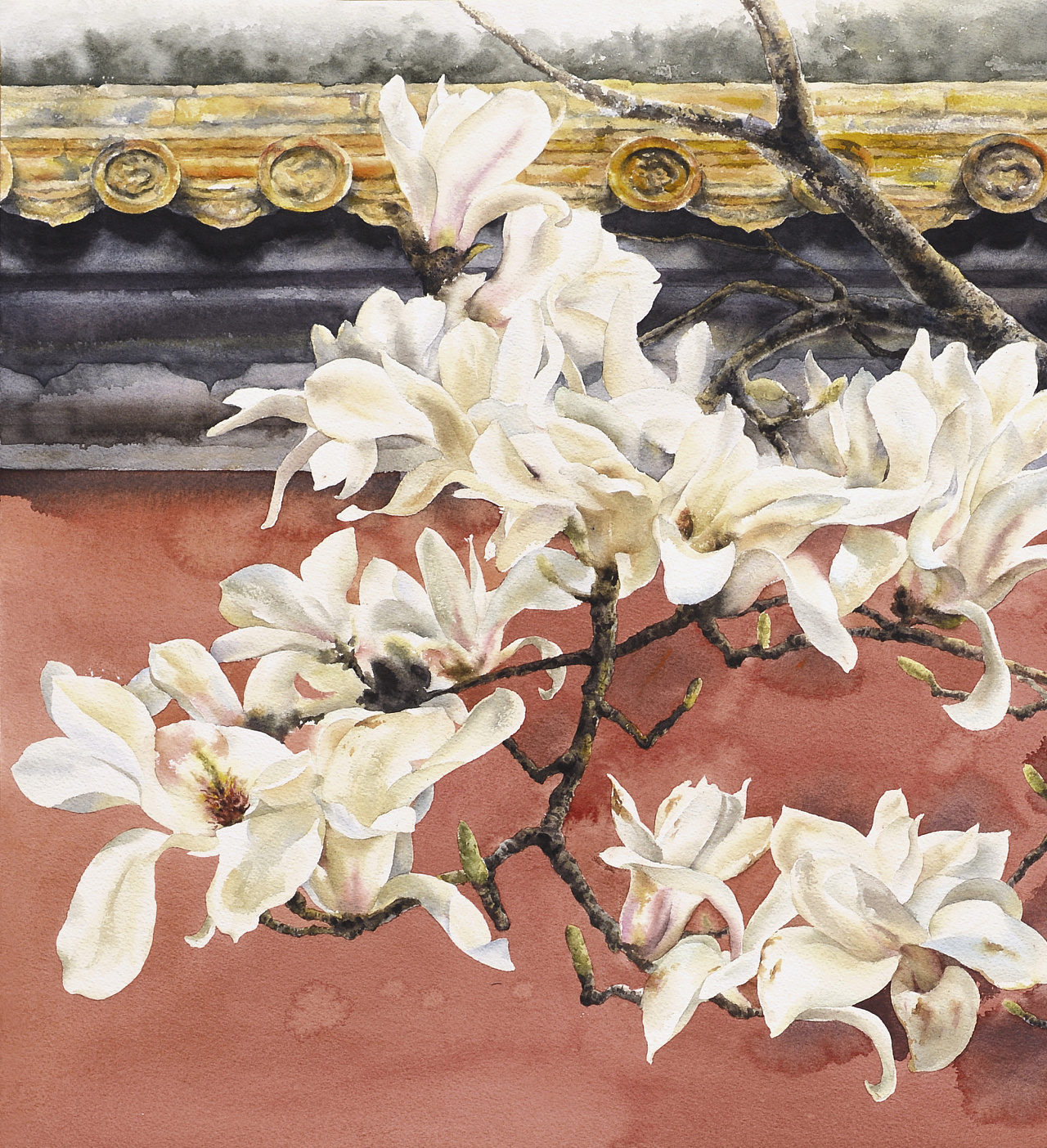 紫禁城三月 - 玉兰花开|纯艺术|绘画|黄有维水彩 - 原创作品 - 站酷