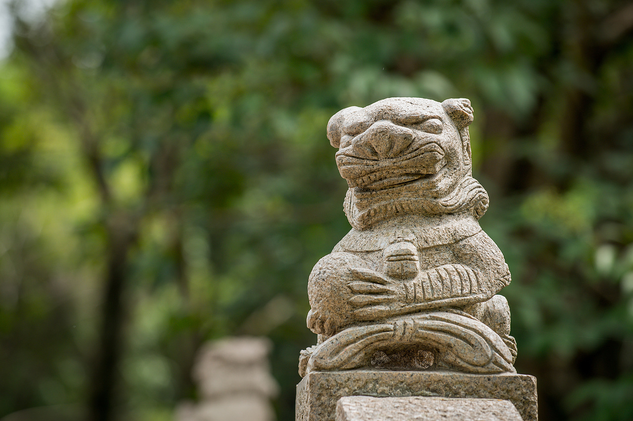 烟雨中的似水年华 乌镇游记