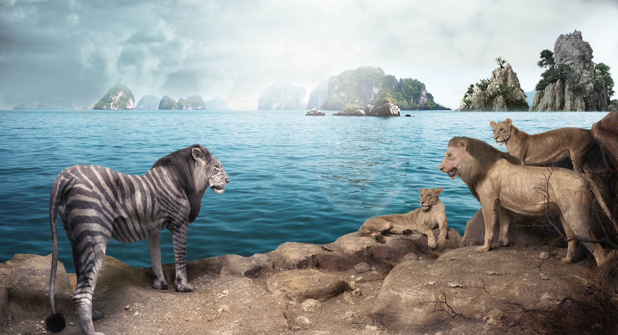 动物海报合成素材水素材湖面