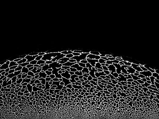 X（个人主页-ZNTA2NzA1MDA=） - 风光摄影 - 站酷设计师狐狸05原创素材 - 站酷ZCOOL