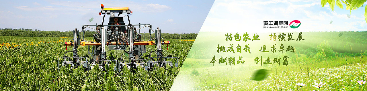 黄洋河集团官网banner（图ZODA0MzI2ODg=） - 运营设计 - 站酷设计师HEROoLU原创素材 - 站酷ZCOOL