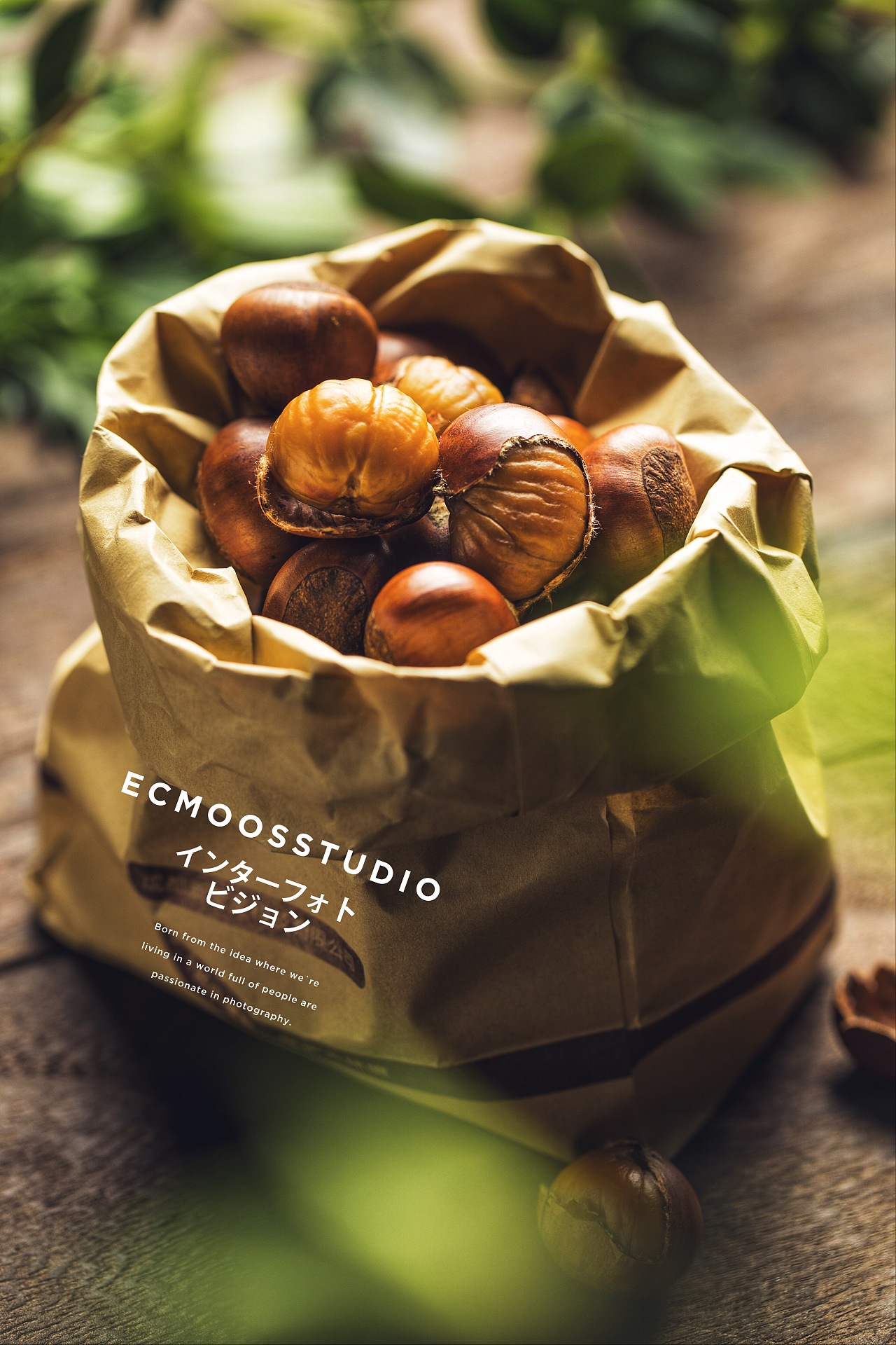 板栗96 - 原创作品 - 站酷(zcool)