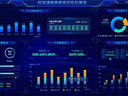 可视化数据大屏