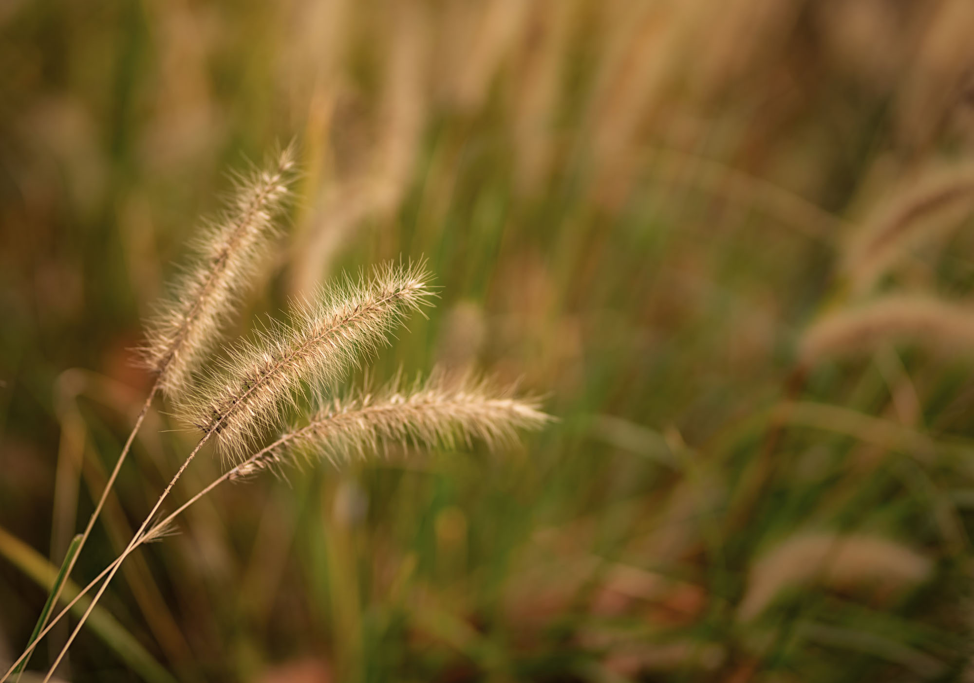 昊視覺的個人主頁（封面預(yù)覽） - 主頁封面設(shè)置 - 站酷設(shè)計師昊視覺原創(chuàng)素材 - 站酷ZCOOL