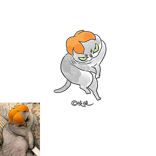 猫咪画像合集2