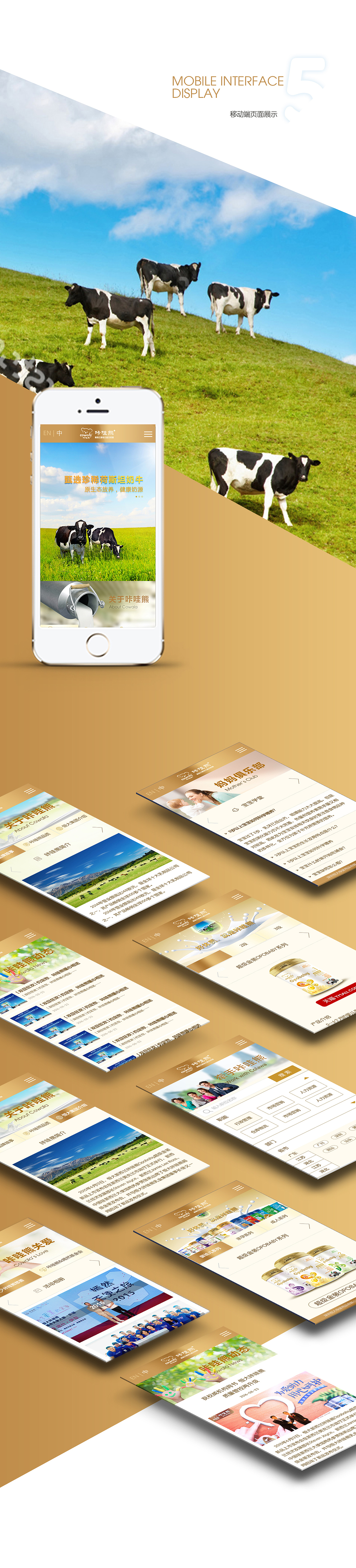 恒大咔哇熊整站设计（pc&wap）（图ZNzUyNTMwNDg=） - 企业官网 - 站酷设计师陈晨快跑原创素材 - 站酷ZCOOL