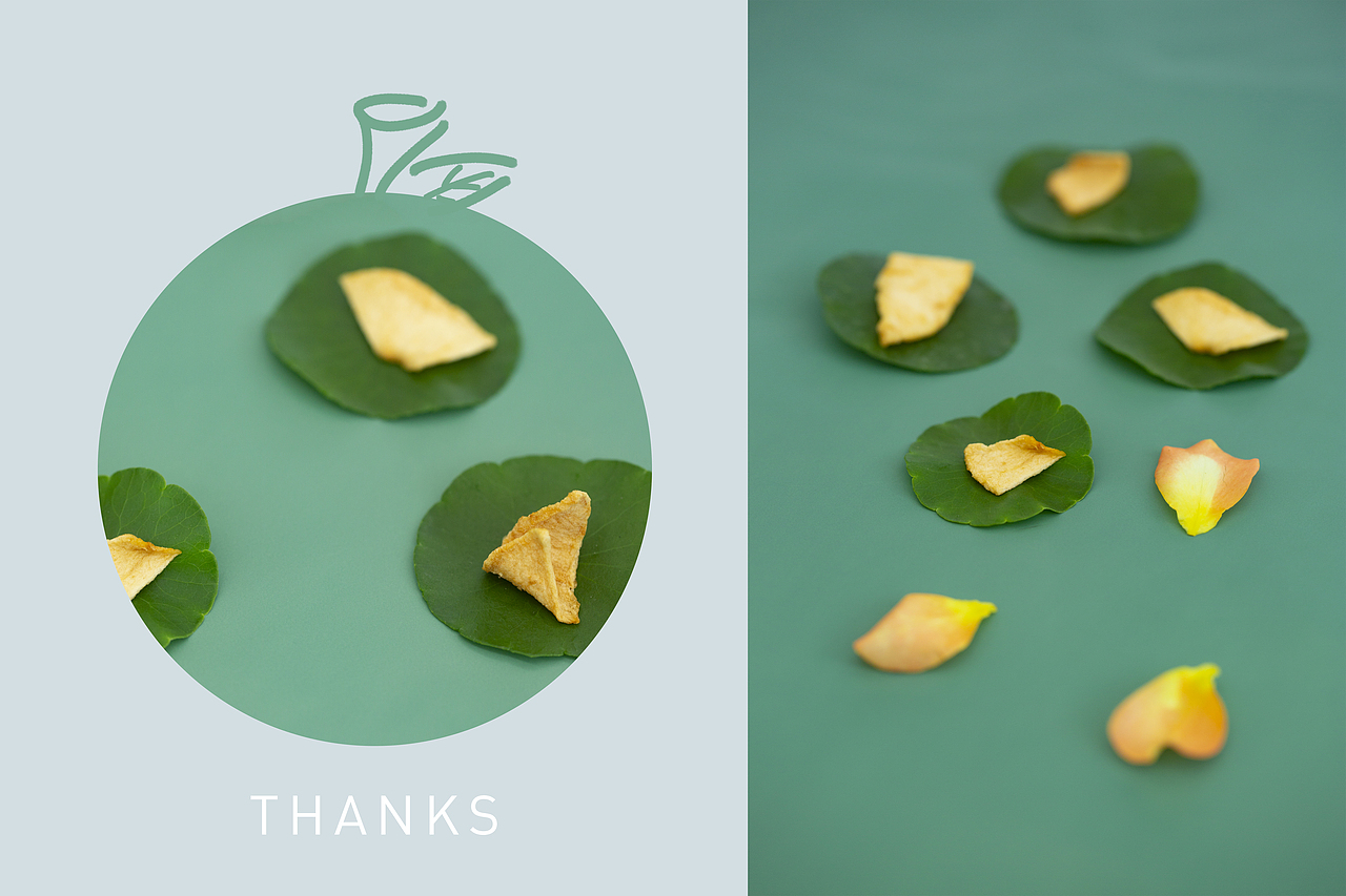 日食记「苹果干」-DRIED APPLE CHIPS