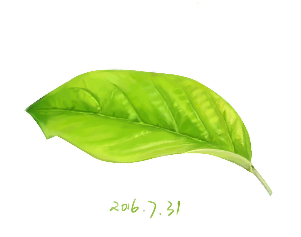 矢量树叶手绘INS绿色植物图片素材免费下载 - 觅知网
